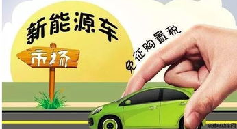 低速電動(dòng)車經(jīng)銷商急的撞墻,高速鋰電的威脅有多大